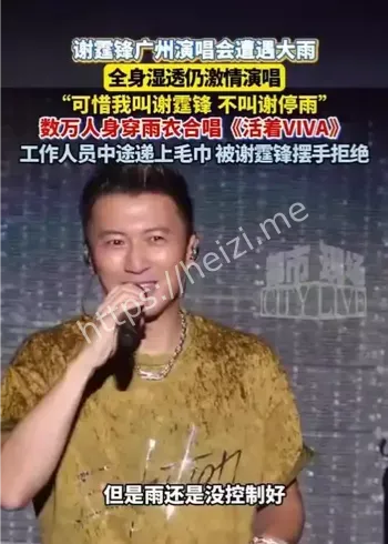 谢霆锋谢停雨金句